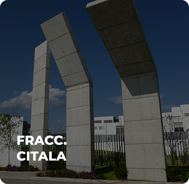 Frame_311